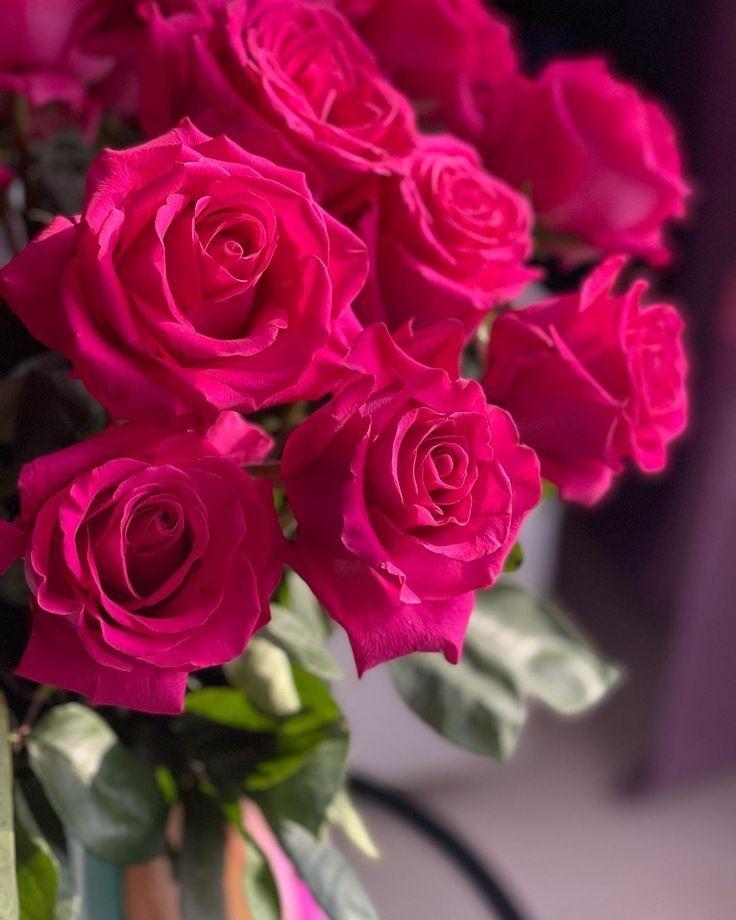 Ventralo Mixis workshop space where corporate flower arrangements are designed and prepared for business delivery